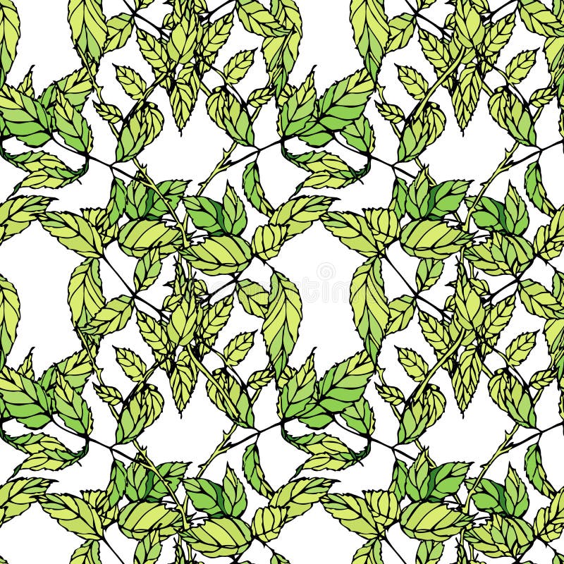 Modelo inconsútil floral del vector con las hojas verdes ilustración del vector Modelo inconsútil floral del vector con las hojas verdes ilustración del vector