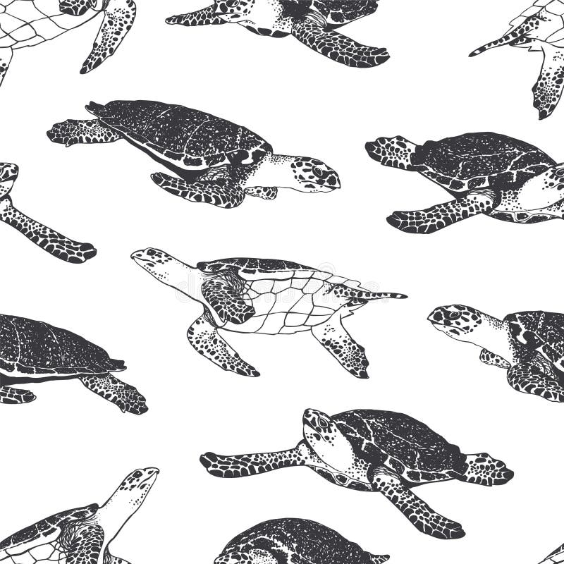 Modelo inconsútil - tortuga del océano Rebecca 36 libre illustration Modelo inconsútil - tortuga del océano Rebecca 36 libre illustration