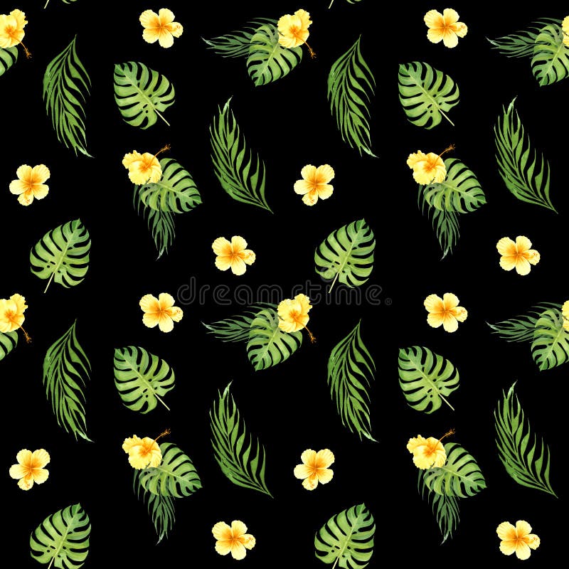 Modelo inconsútil tropical floral de la acuarela con las hojas verdes del monstera y las flores amarillas del hibisco stock de ilustración Modelo inconsútil tropical floral de la acuarela con las hojas verdes del monstera y las flores amarillas del hibisco stock de ilustración