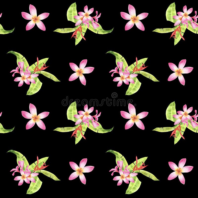 Modelo inconsútil tropical floral de la acuarela con las hojas verdes del monstera y las flores rosadas del plumeria en negro ilustración del vector Modelo inconsútil tropical floral de la acuarela con las hojas verdes del monstera y las flores rosadas del plumeria en negro ilustración del vector