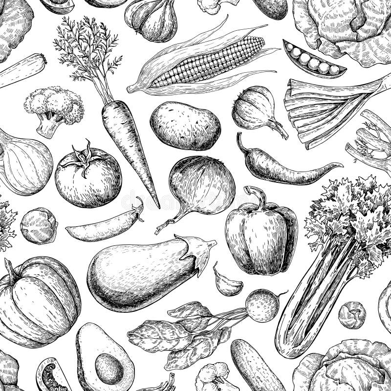 Vegetable seamless pattern. Hand drawn vintage vector background. Vegetarian set of farm market products. Detailed organic food drawing. Great for menu, poster, print, wallpaper, fabric. Vegetable seamless pattern. Hand drawn vintage vector background. Vegetarian set of farm market products. Detailed organic food drawing. Great for menu, poster, print, wallpaper, fabric