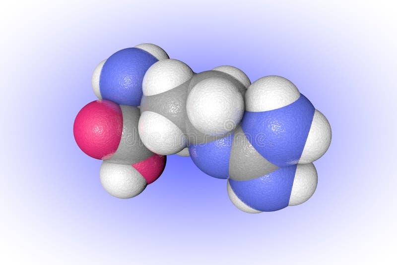 Modelo Molecular De L-arginina Con Relleno Espacial Los átomos Se  Representan Como Esferas Con Codificación De Color Convencional Stock de  ilustración - Ilustración de molecular, médico: 168275372