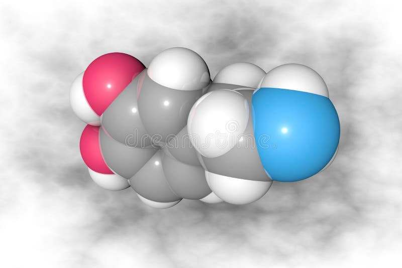 Modelo Molecular De Relleno Espacial De Dopamina. Los átomos Se Representan  Como Esferas Con Codificación De Color Convencional : Stock de ilustración  - Ilustración de sano, gris: 178281910