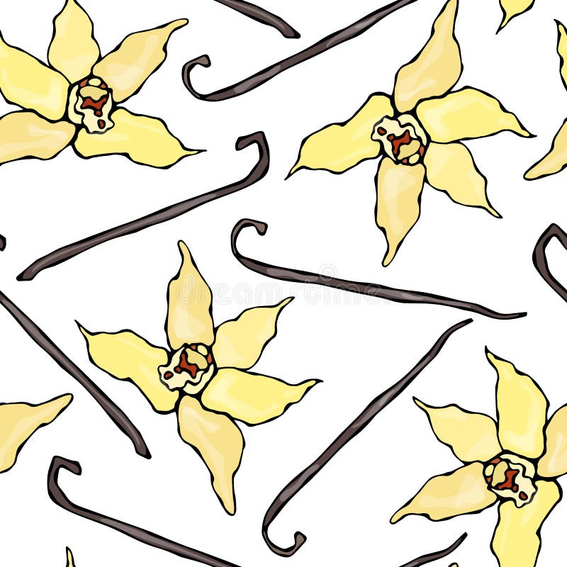 Modelo sin fin inconsútil del palillo y de la flor de la vainilla Vaina de la vainilla y fondo estacional del flor Especia y vino stock de ilustración