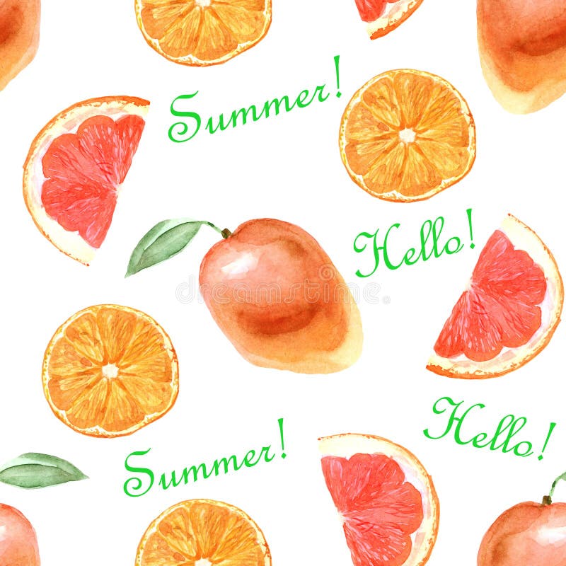 Modelo tropical de la acuarela con la naranja en un fondo blanco libre illustration Modelo tropical de la acuarela con la naranja en un fondo blanco libre illustration
