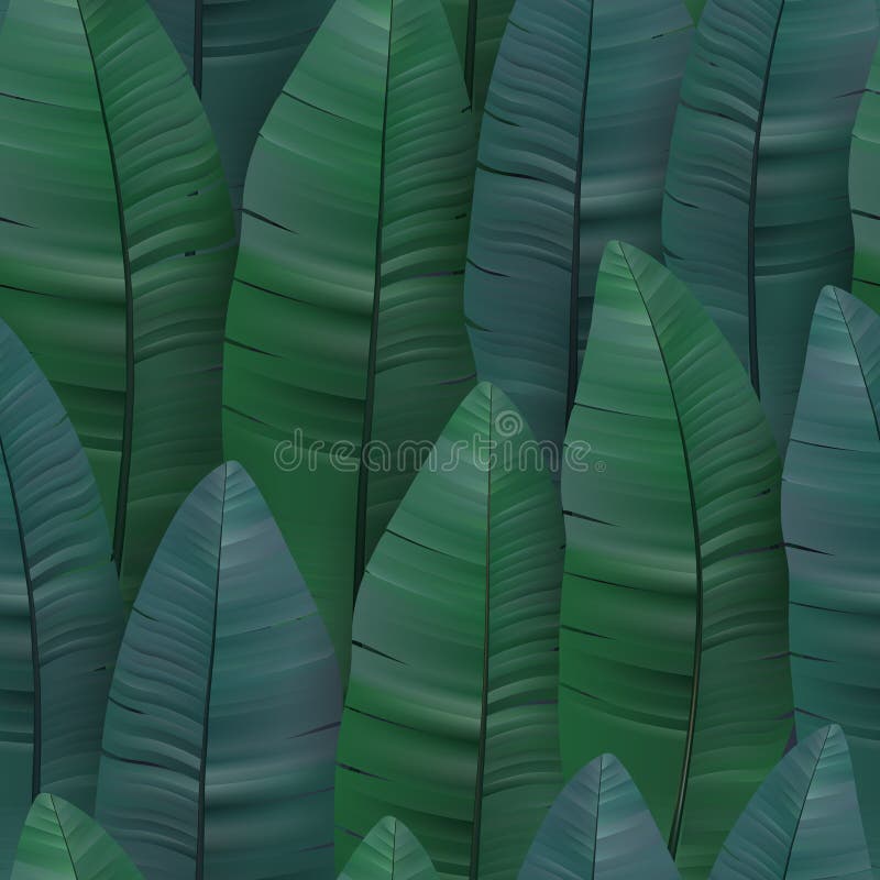 Modelo tropical inconsútil con las hojas del plátano Ilustración del vector ilustración del vector Modelo tropical inconsútil con las hojas del plátano Ilustración del vector ilustración del vector