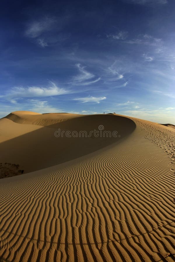 Modelos en la duna de arena