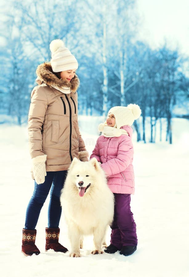 Moder och barn som går med den vita Samoyedhunden i vinter arkivfoton Moder och barn som går med den vita Samoyedhunden i vinter arkivfoton