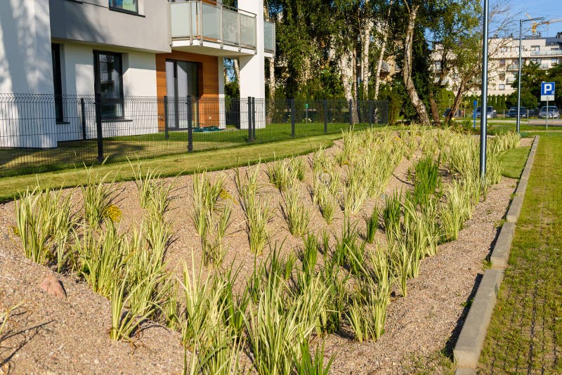 Understanding Garden Style Apartments: Your Guide to Comfortable Living