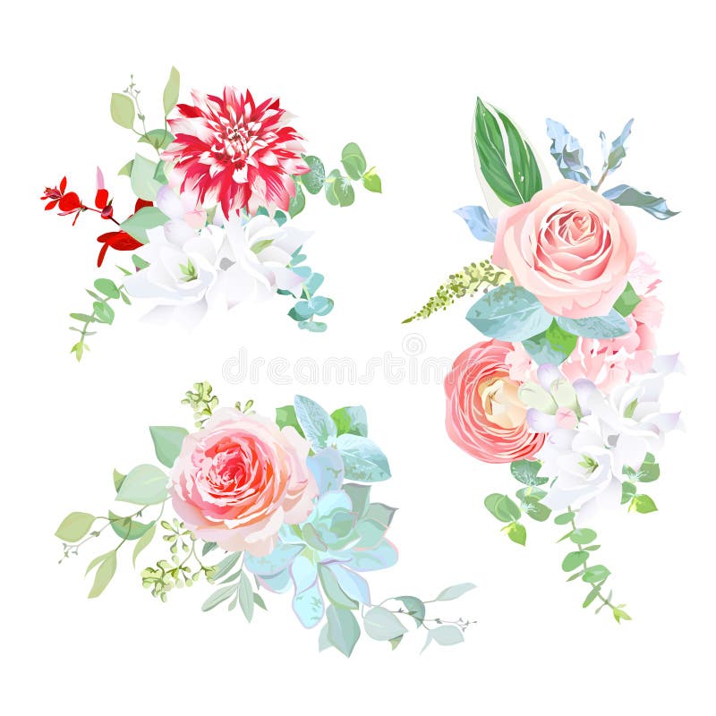 Modern Bouquets Of Striped Dahlia Ranunculus Hydrangea Succul Stock Vector Illustration Of Leaf Decoration 111233341