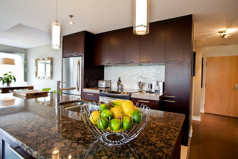 Modern contemporary kitchen