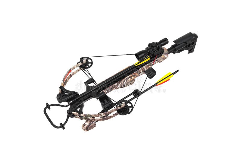 A modern crossbow with a telescopic sight. Silent weapon for hunting and sports isolate on white back