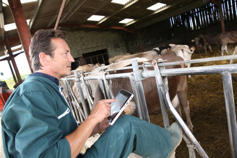 Modern farmer with tablet in barn stock images Modern farmer with tablet in barn stock images