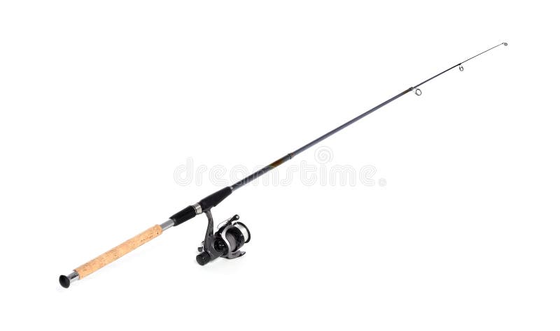 Picture Of Good Fishing Rods For Fishing Stock Photo - Download Image Now -  Fishing Rod, Variation, Store - iStock