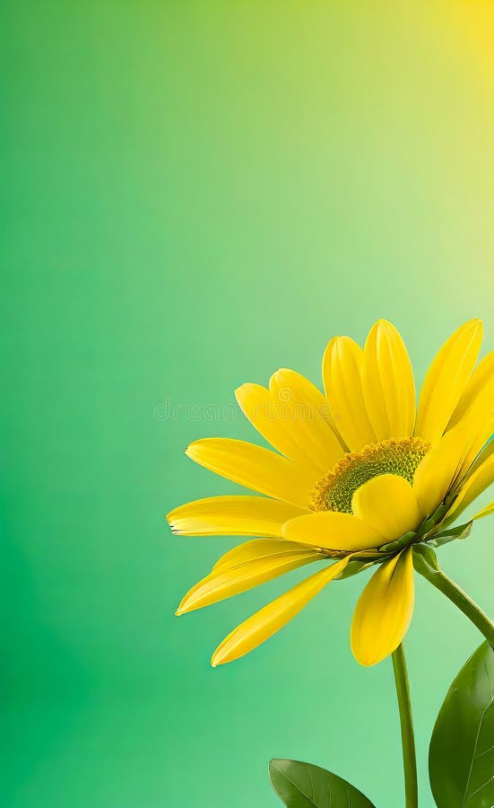 Modern floral insta template, empty gradient with bokeh, empty copy space for printing vector illustration