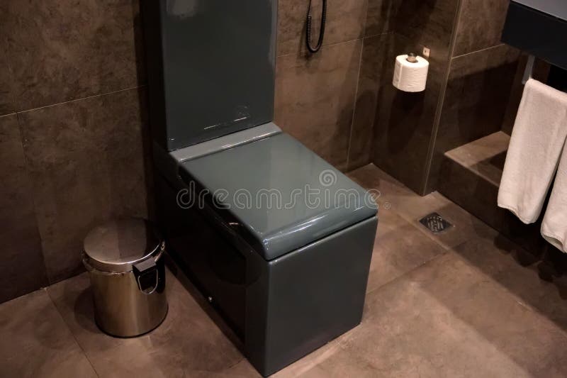 Modern flush toilet bowl at WC or water closet. Cistern button stock images, royalty-free photos and pictures