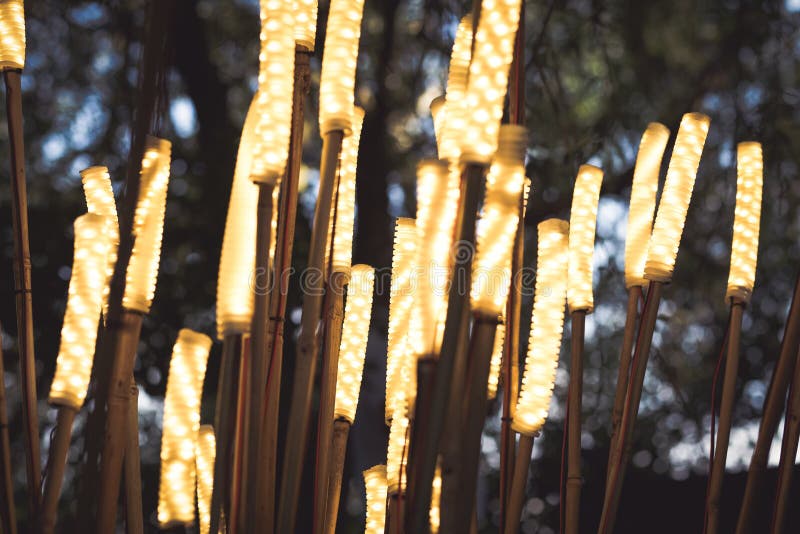 Modern Garden Lights Bamboo Sticks Stock Image Image of decoration