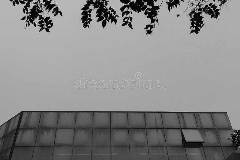 Modern glass building windows facade and tree leaves stock image