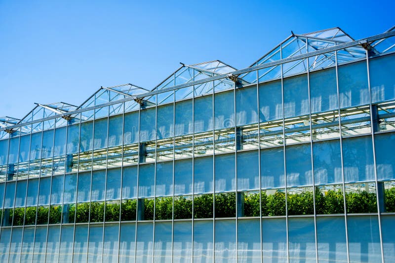 Modern glass greenhouses against the blue sky.