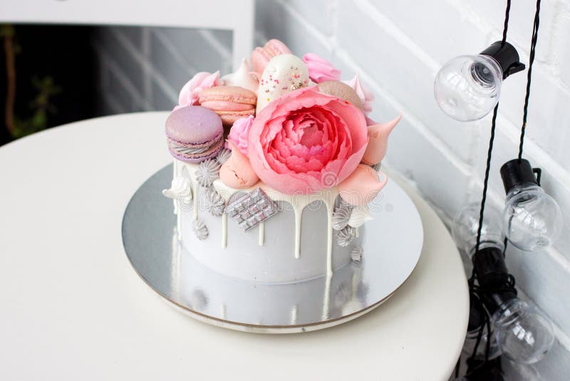 Modern Pink Cake With Chocolate Decor Caramel French Macaroons Meringues  And Waffle Paper White Background Stock Photo - Download Image Now - iStock