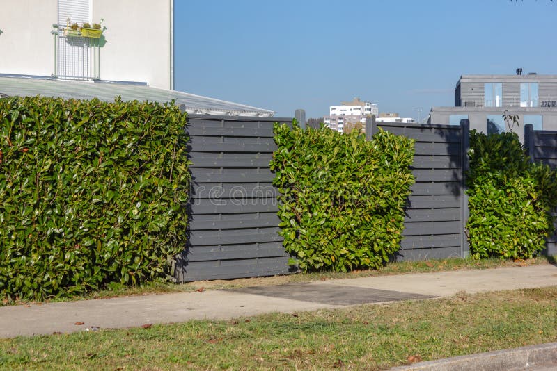 modern grey wooden garden fence