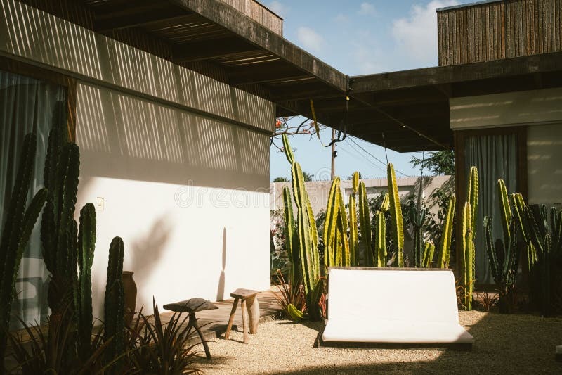 Modern gård med minimal utformning royaltyfri fotografi
