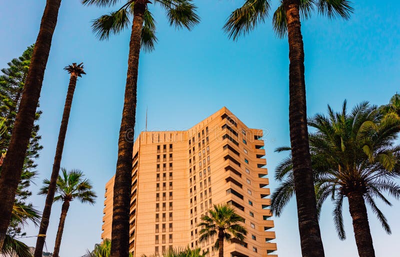 Modern High-Rise Framed by Palm Trees in Monaco royalty free stock images