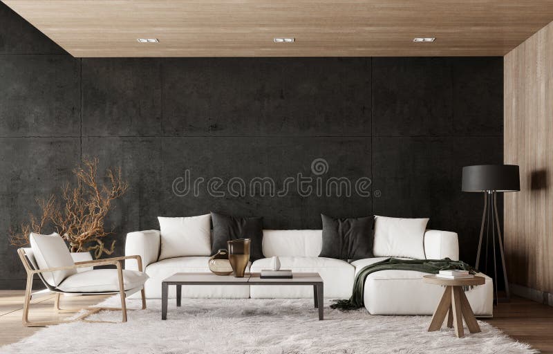 Modern Interior Design of Living Room with White Sofa and Empty Black