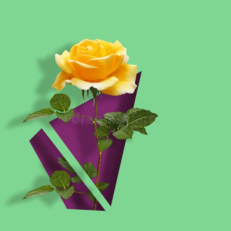 Modern modern konstaffisch med den härliga rosen på abstrakt färgrik bakgrund royaltyfri illustrationer Modern modern konstaffisch med den härliga rosen på abstrakt färgrik bakgrund royaltyfri illustrationer