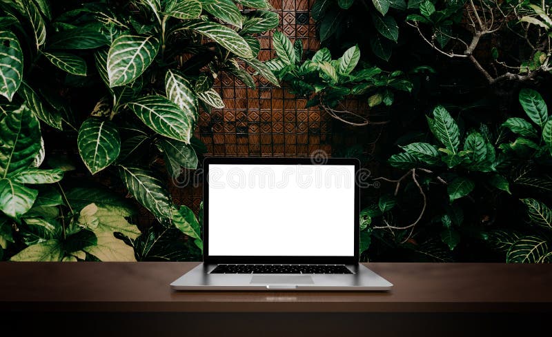 HD laptop wallpapers | Peakpx