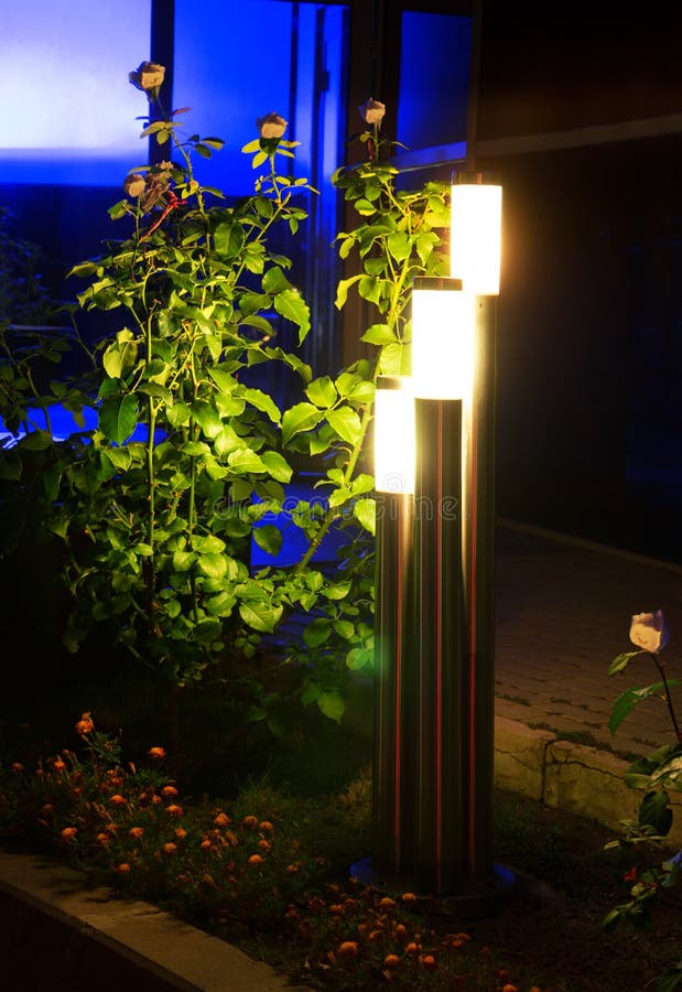 Modern lights in night park