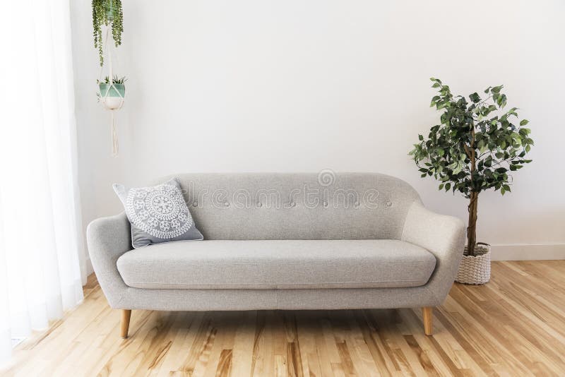Modern Living Room with Grey Couch Sofa Stock Photo Image of tree