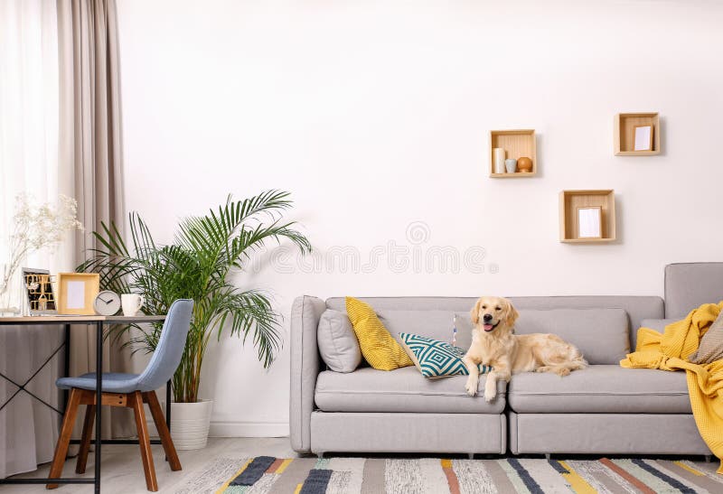 Cực cute 99 Cute Background Living Room Tải miễn phí chất lượng cao