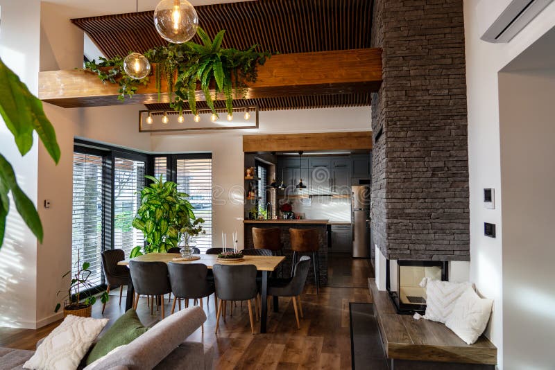 Modern Living Room with Nature Vibe Wooden Rocky Details and Plants