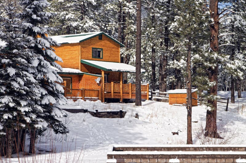 Modern Log Cabin Home In The Winter Woods