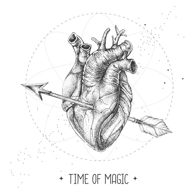 Realistic Heart Drawing Stock Illustrations 2 609 Realistic Heart Drawing Stock Illustrations Vectors Clipart Dreamstime Realistic Heart Drawing Stock Illustrations 2 609 Realistic Heart Drawing Stock Illustrations Vectors Clipart Dreamstime