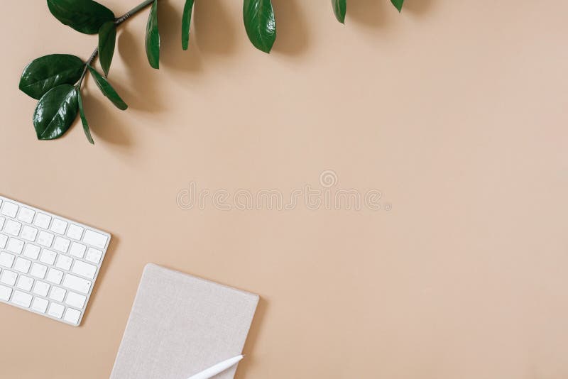 A modern, minimalistic desktop for a freelancer or blogger. Office supplies with a green branch. Copying space. Minimal flat lay stock photos