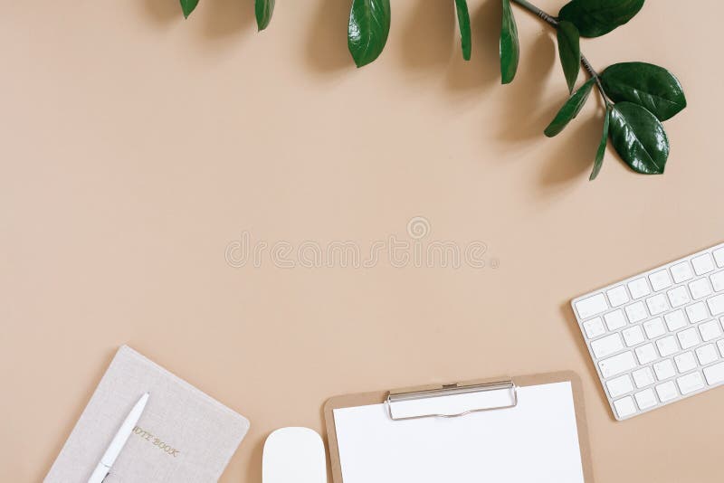 A modern, minimalistic desktop for a freelancer or blogger. Office supplies with a green branch. Copying space. Minimal flat lay royalty free stock photos