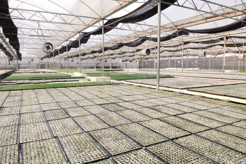 The modern nursery garden green house stock photo The modern nursery garden green house stock photo