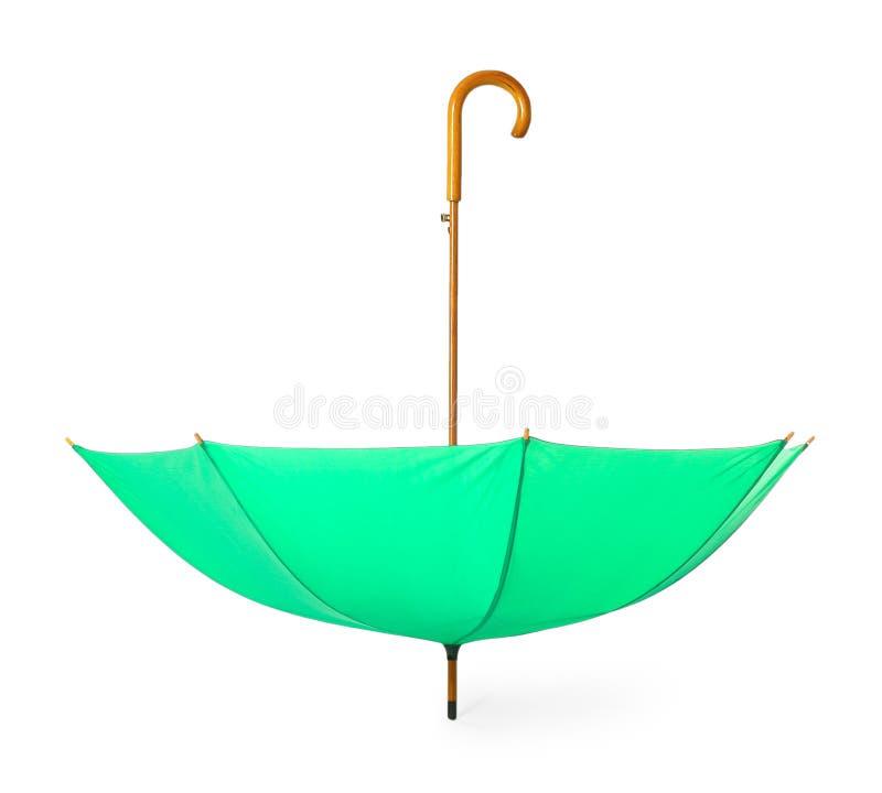 10,990 Bright Green Umbrella Stock Photos Free & RoyaltyFree Stock
