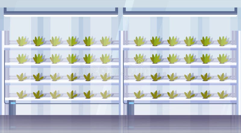 Modern organic hydroponic vertical farm interior agriculture smart farming system concept green plants growing industry stock illustration Modern organic hydroponic vertical farm interior agriculture smart farming system concept green plants growing industry stock illustration