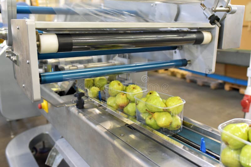 Modern packaging machine for fresh pears in a factory for food industry royalty free stock image