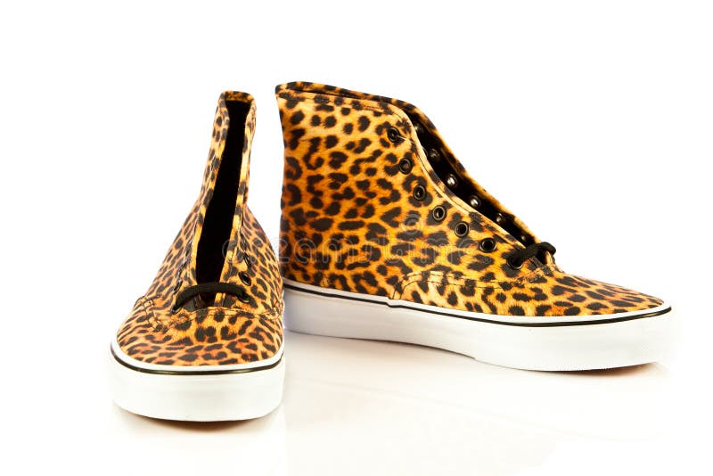 Modern Sport Shoes On White Background Accessories Stock Image Image