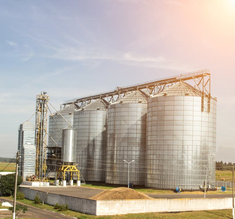 The Complex Silo Installations For The Storage Of Grain Standing In The