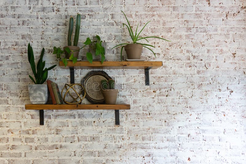 Modern Stylish White Brick Wall with Shelves and Plants on Them Stock