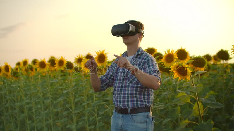 Modern technologies on the sunflowers field in nature