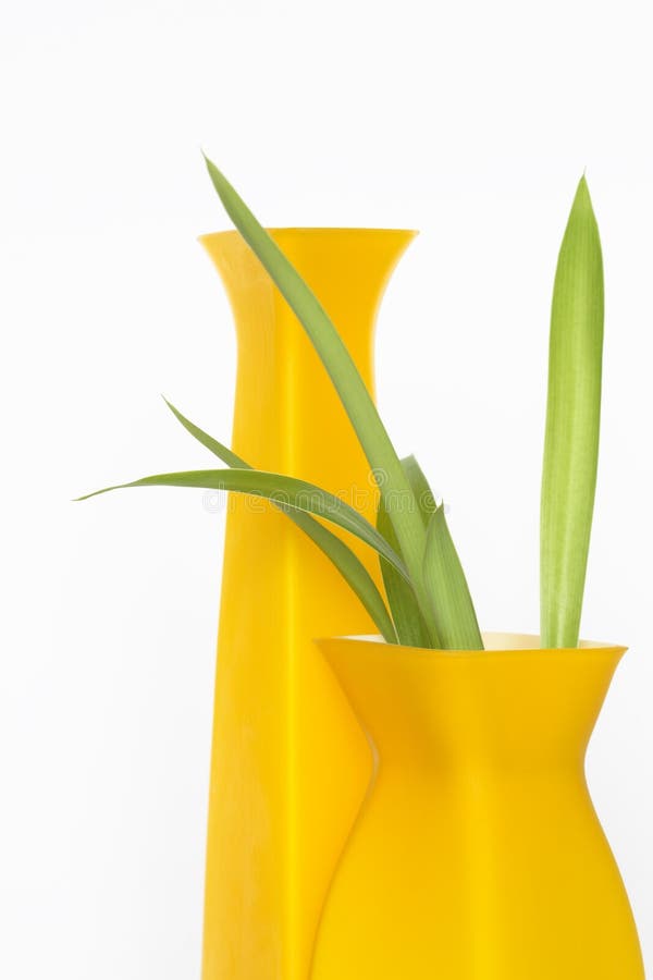 Modern Vases stock photo. Image of decor, plant, pattern 13023984