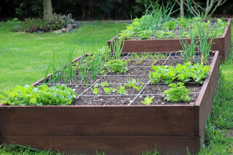 Raised Bed Bricks Stock Photos Free & RoyaltyFree Stock Photos from