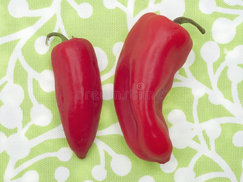 Modern Vibrant Peppers royalty free stock photo