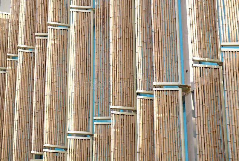 Modern Wall of Bamboo Canes Stock Image Image of abstract, cane 81601227